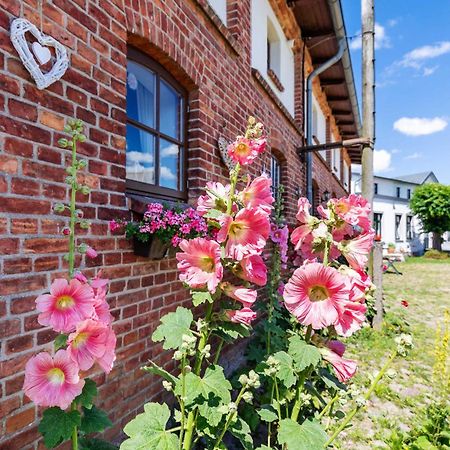 Ostsee Bauernhof Schwalbennest Ofc 15 Steffenshagen Екстериор снимка